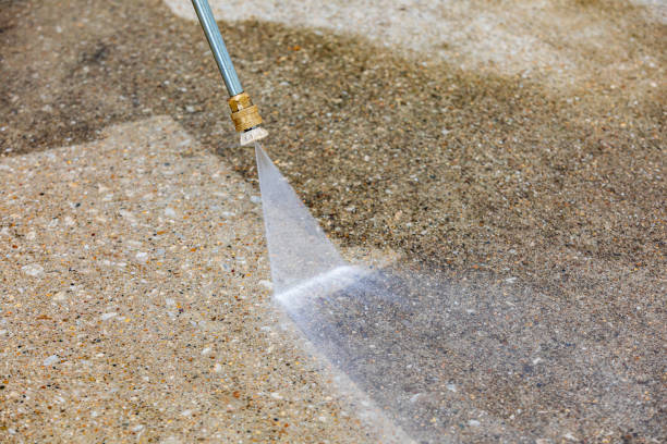 Best Dumpster Area Cleaning  in Carrollton, TX